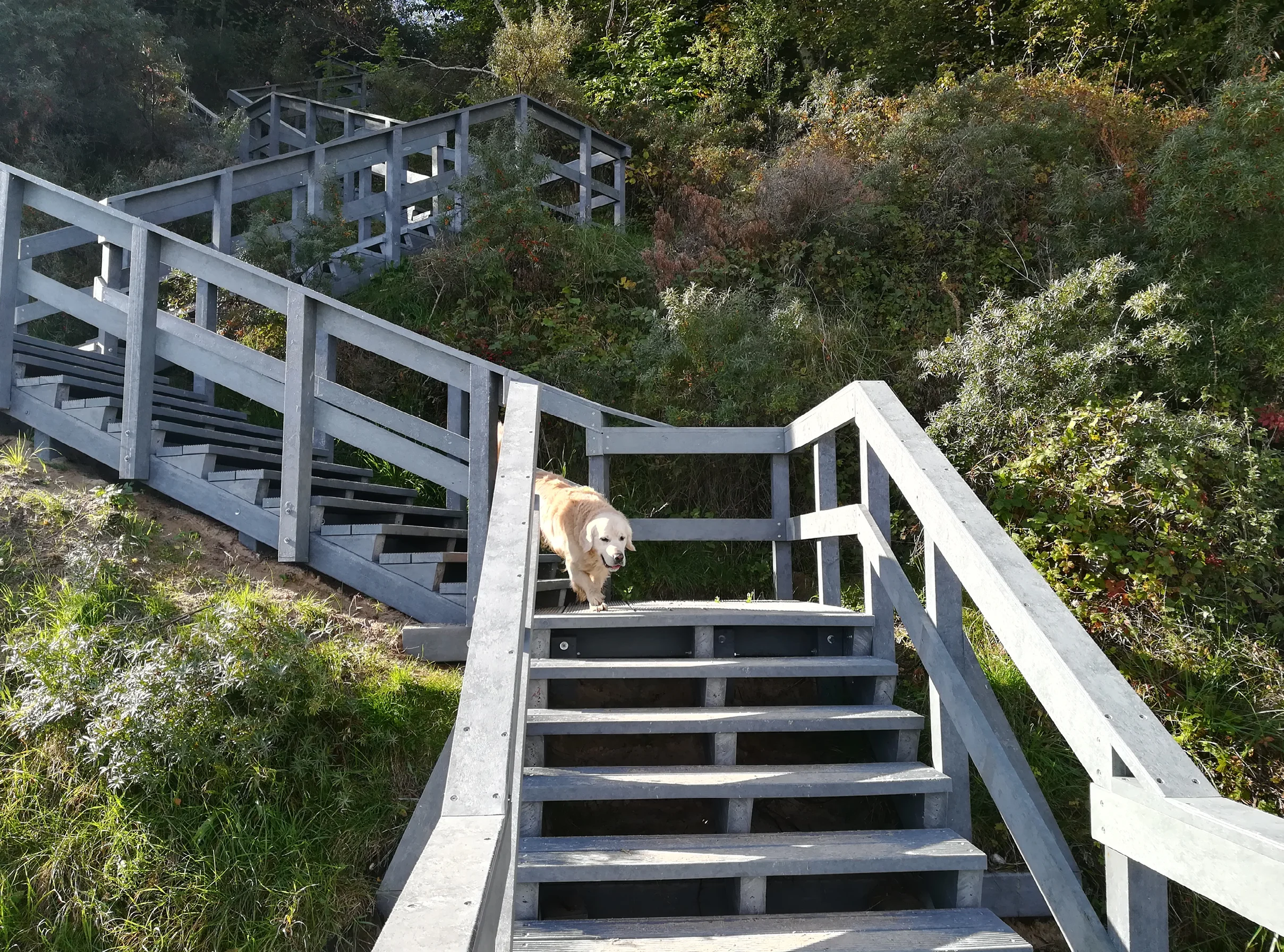 hanit Footpath plank